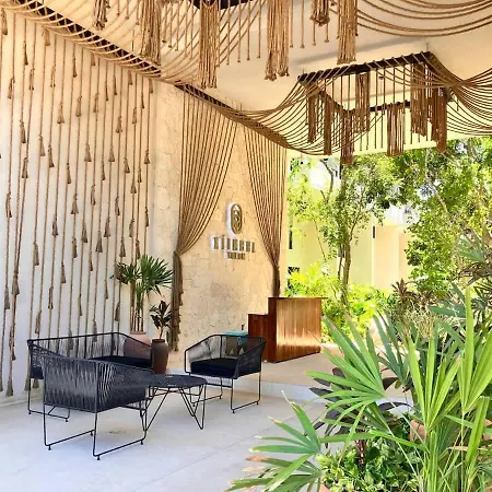 Tulum Groups Home For 7 Guest With 2 Bedrooms Balcony Common Pool Gym Yoga And Mini Market Ximbal